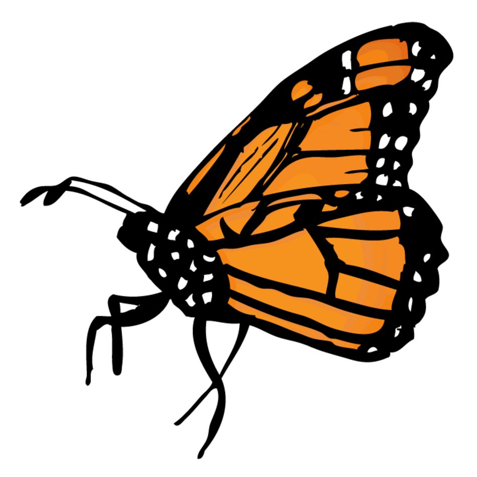 Monarch Butterfly Clip Art Free N5