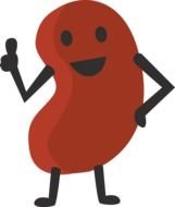 animated kidney bean