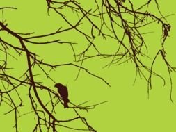 Bird On Tree Branch green drawing