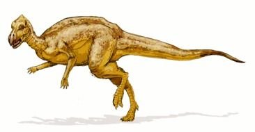 yellow dinosaur on a white background