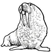 Black and white drawing of Seal Of Canada clipart