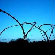 barbed wire against the blue sky