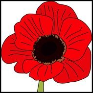 Cartoon Red Poppy Clipart