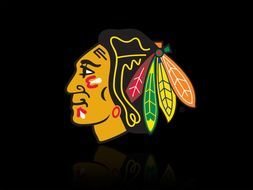 Chicago Blackhawks Logo Black N2
