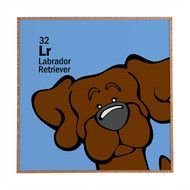 brown dog on a blue background