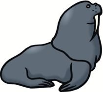 drawn walrus