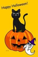 DakIMG Card Black Cat Halloween