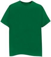 green t-shirt as a graphic image