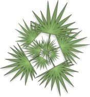 Tree Plan View