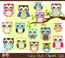 Cute Owls Clipart Set