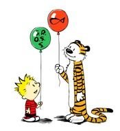 Calvin And Hobbes N3