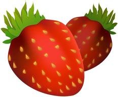 Healthy Food Clip Art N34