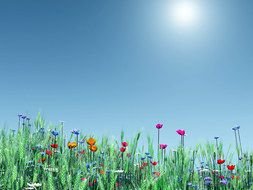 drawing Desktop Spring Flowers