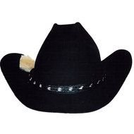 Cowboy Hat N2