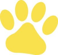 abstract yellow print of animal paw