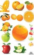 1072 1087 1077 1083 1100 1089 1080 1085 1099 1103 1073 1086 1082 Vector Clipart Orange Apples N3