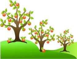 drawing of orange trees in a green meadow