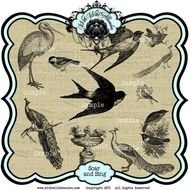 Bird Clipart Peacock Rooster And Swallow By Withwildabandon $450
