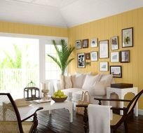 Living Room Wall Paint Colors