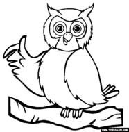 Owl Coloring Pages N3