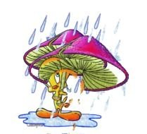 Glitter Tweety Bird Cartoon