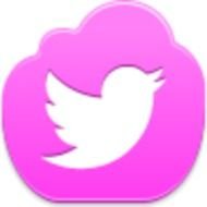 Pink Twitter Bird