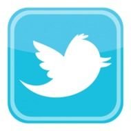 Twitter Icon Vector Logo N2