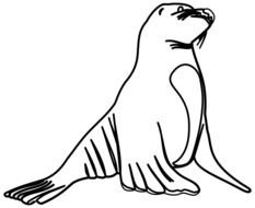 Sea Lion Clip Art Black And White drawing