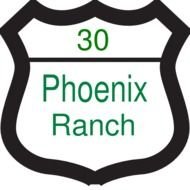 Phoenix Clip Art N2