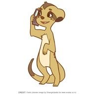 Meerkat Cartoons N2