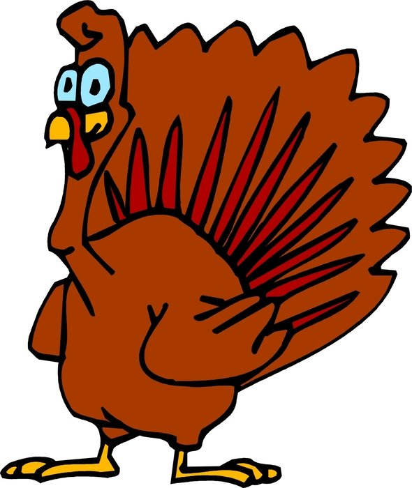 Beautiful and colorful drawing of the turkey