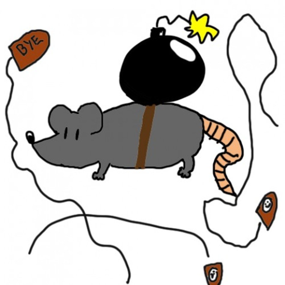 Rat With Bomb