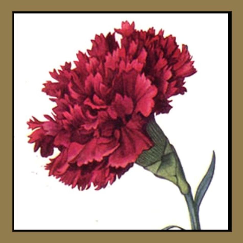 Ohio State Clip Art N4