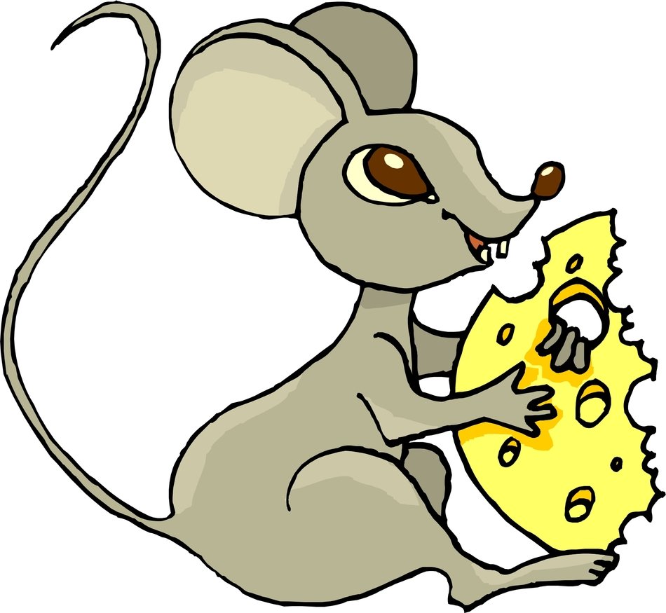 Cartoon Mouse With Cheese N4
