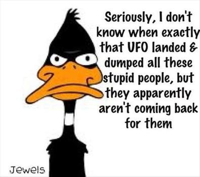 Funny Quotes N7