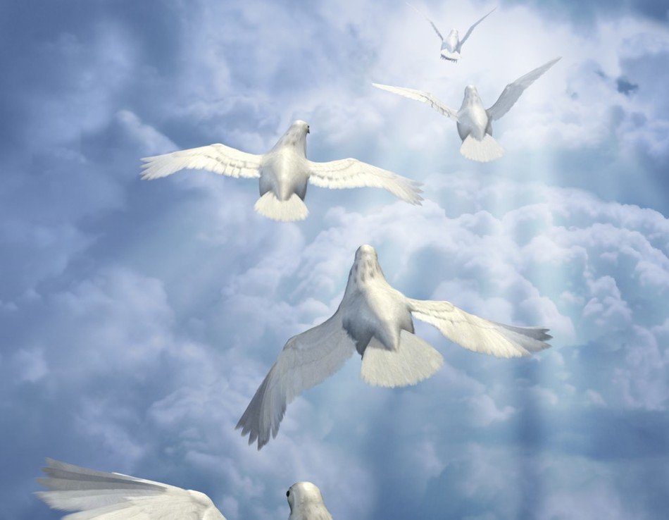 İllustration of Christian Doves