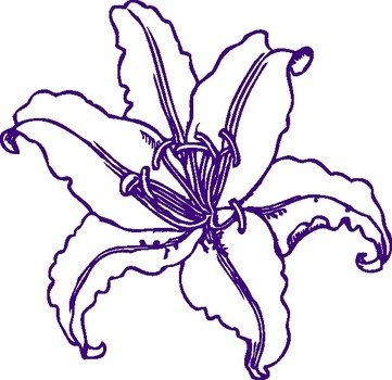 Purple Lily Tattoos