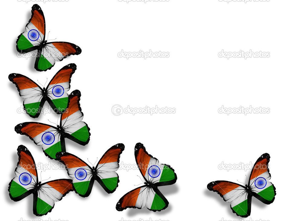 Indian Flag As A Butterfly