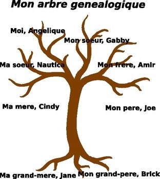 Family Tree Clip Art N35