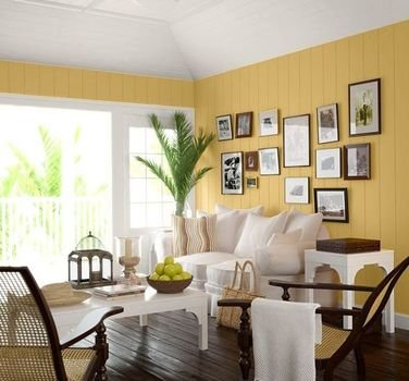 Living Room Wall Paint Colors
