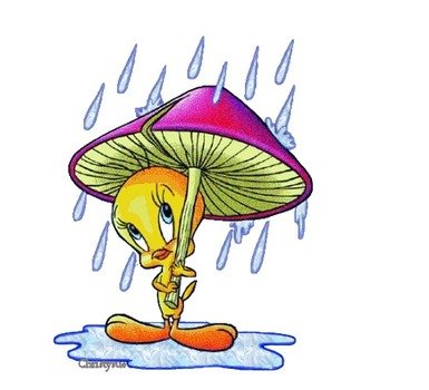 Glitter Tweety Bird Cartoon