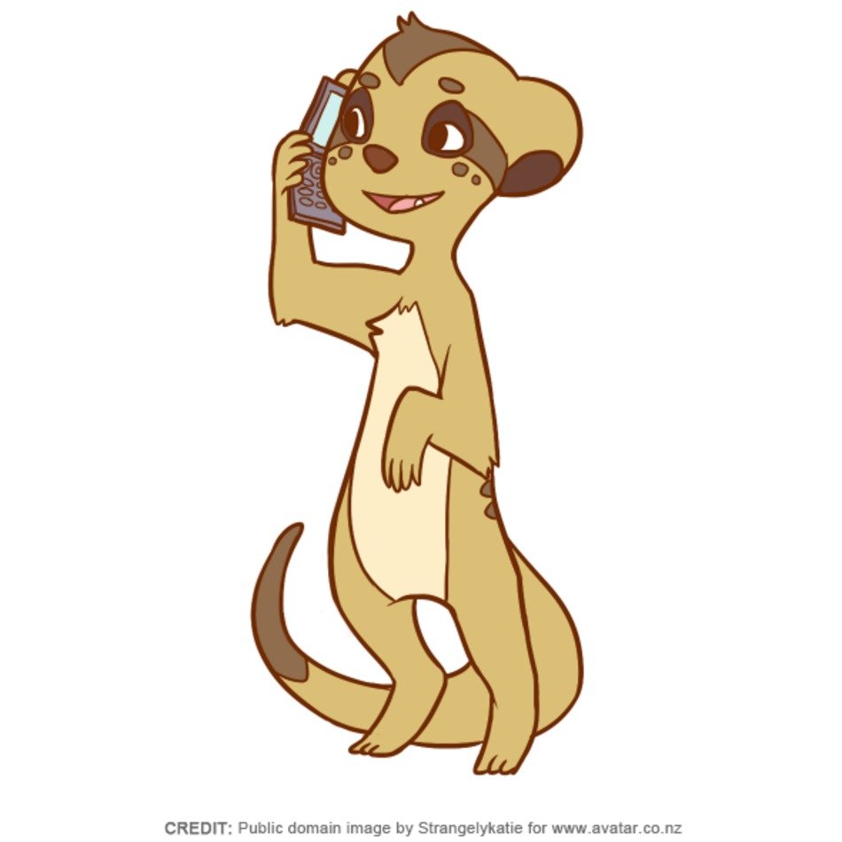 Meerkat Cartoons N2
