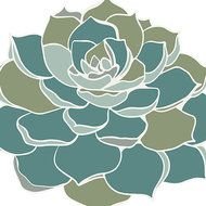 Succulent Plants Clip Art