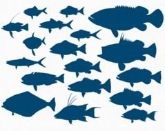 sea fish silhouettes