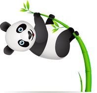 Cartoon Panda Bear drawing