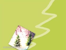 Christmas Green