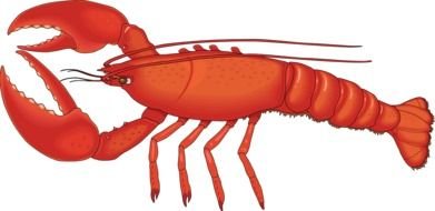 Lobster big red drawing