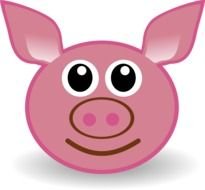 Cartoon Pig Face drawing