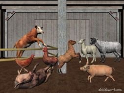 Farm Animals N2
