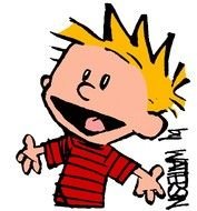 Calvin Hobbes Quotes